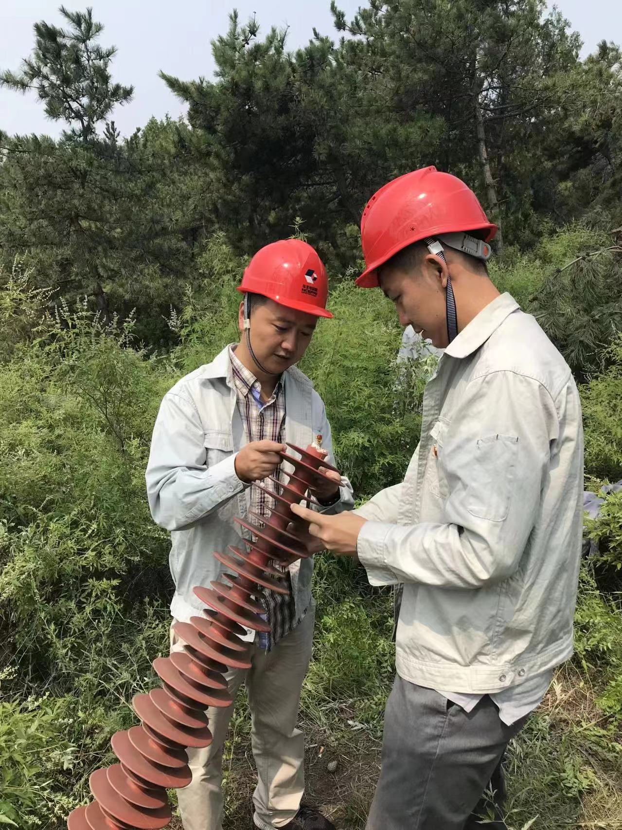 华北电科院卢毅:为电网安全铸造科技“护盾”